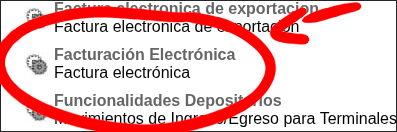 Selección del servicio Factura Electrónica en el listado