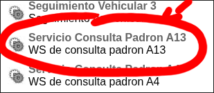 Selección del servicio WS de Consulta Padrón A13 en el listado