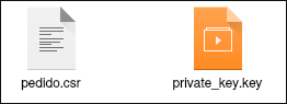 Archivos pedido.csr y private_key.key descargados
